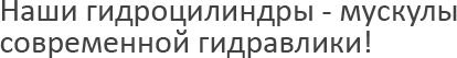 company name